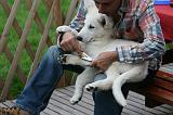 BERGER BLANC SUISSE - BROSSAGE 009